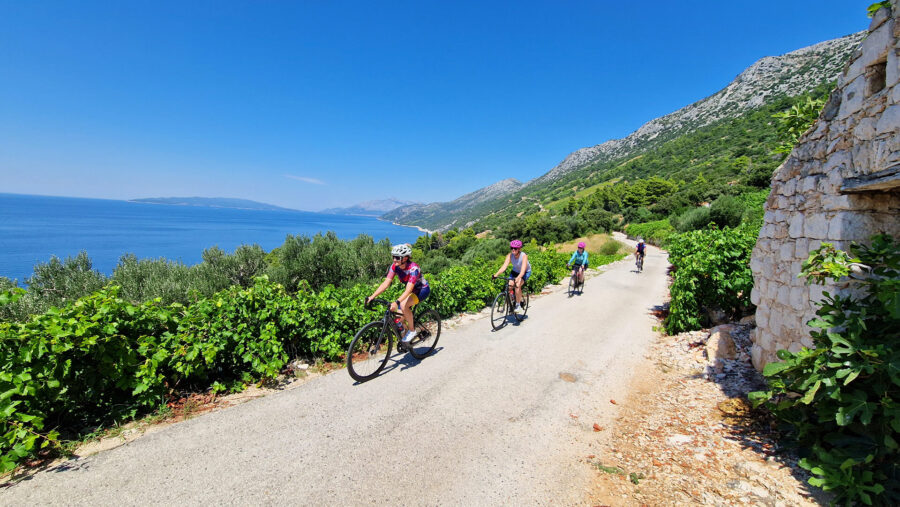 Cycling Croatia Dalmatia Cycling Tour