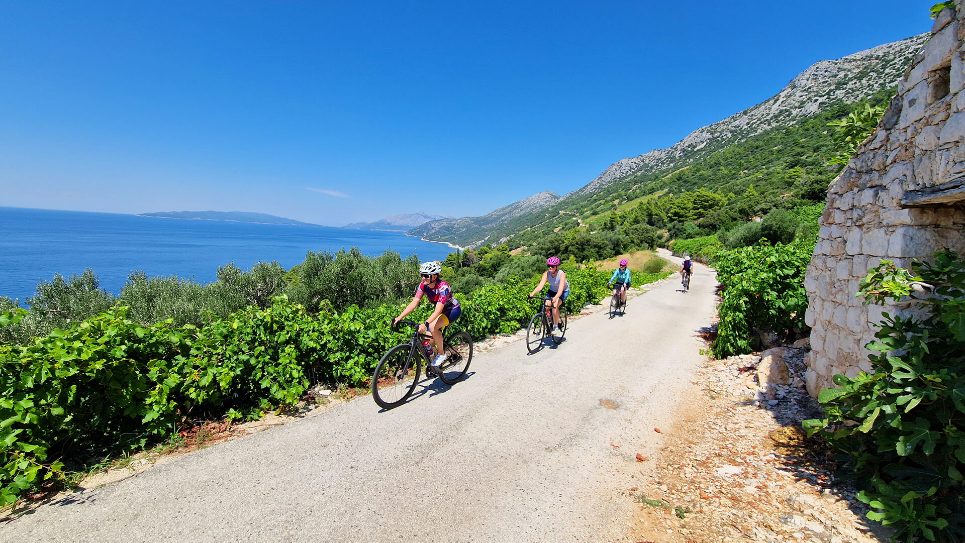 Cycling Croatia  image